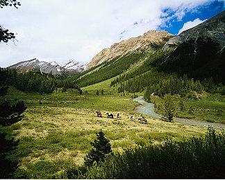 《宝可梦传说：阿尔宙斯》好玩吗？快速下载方法