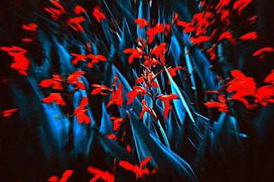 唤醒沉睡梦魇，《命运2》宿怨赛季剧情初窥